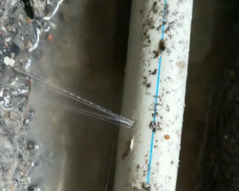 玉龙卫生间测漏水多少钱